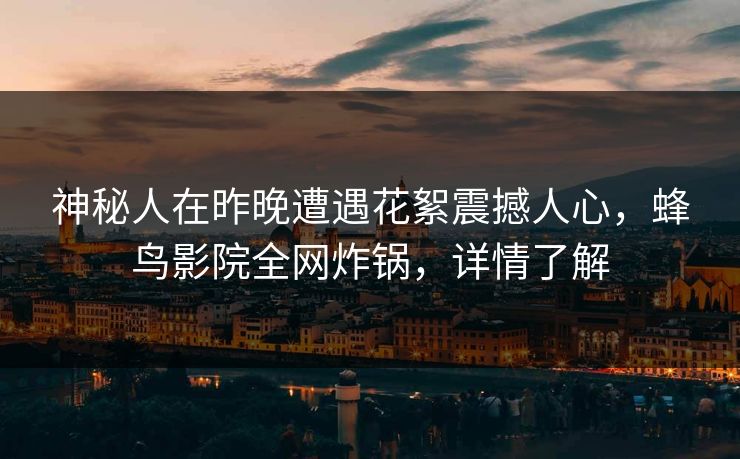 神秘人在昨晚遭遇花絮震撼人心，蜂鸟影院全网炸锅，详情了解